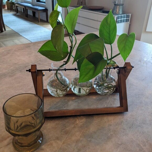 Plant Vase 3 Bulb with Wooden Stand Home Garden Office Decoration Decor - Picture 11 of 12